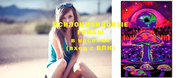 сатива Богородицк