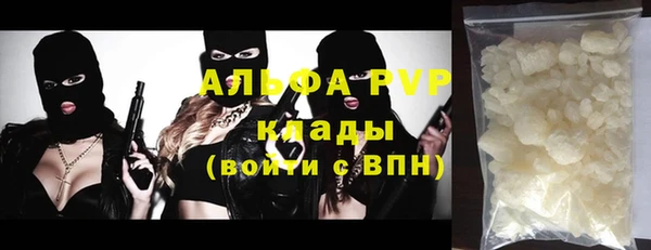 прущие грибы Богородск