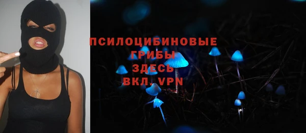 прущие грибы Богородск