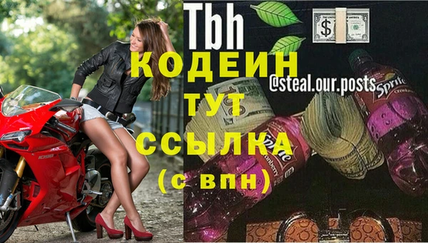 сатива Богородицк