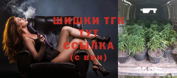прущие грибы Богородск