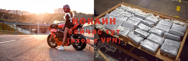 сатива Богородицк