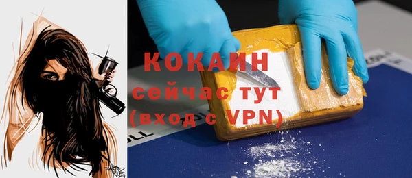 сатива Богородицк