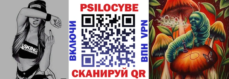 Псилоцибиновые грибы прущие грибы  omg как войти  Новоржев 