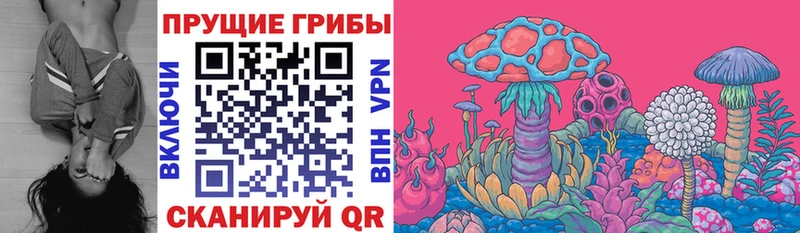 Галлюциногенные грибы мухоморы Новоржев